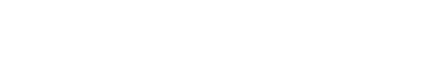 MEDIASLINGER